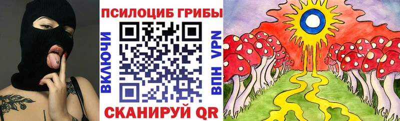 Купить закладки  Красный Холм  Псилоцибиновые грибы Psilocybine cubensis 